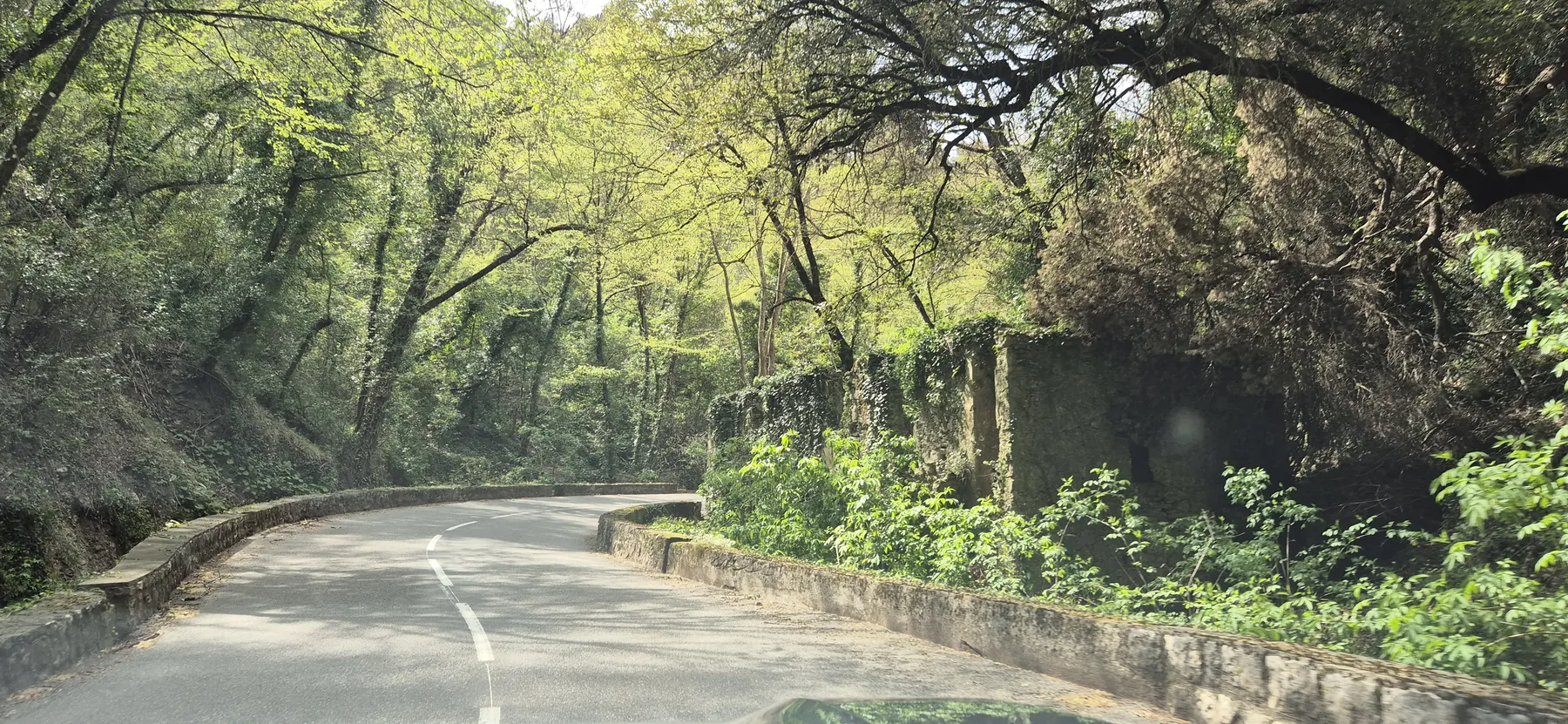 Auf geht’s hoch nach Falicon, durch den (von uns so getauften) “Märchenwald”.